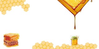 简约黄色蜂蜜蔬菜水果农产品画册封面背景